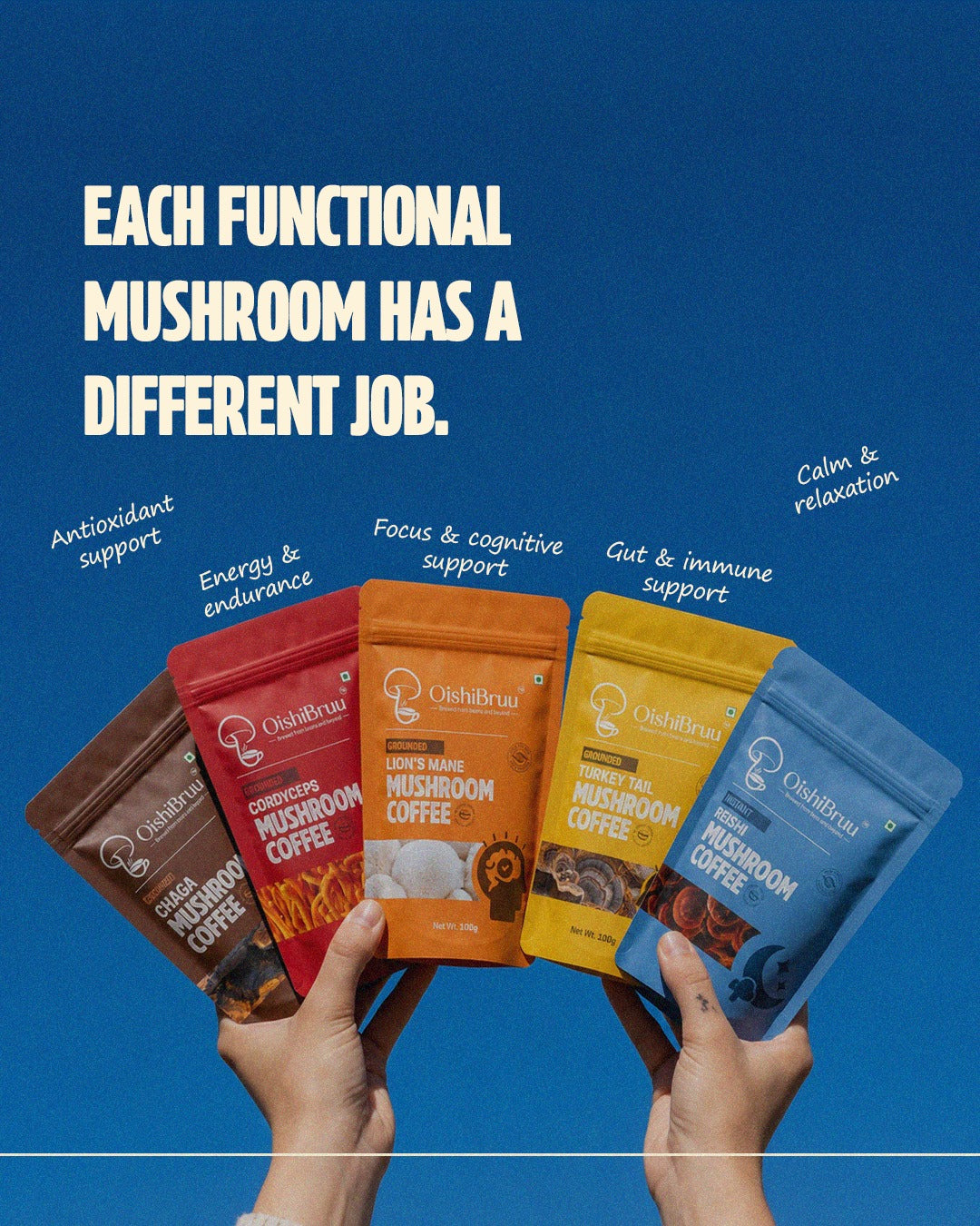 OishiBruu functional mushroom coffee lineup held in hands against a blue background